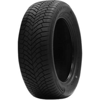 Double Coin DASP + 255/55 R19