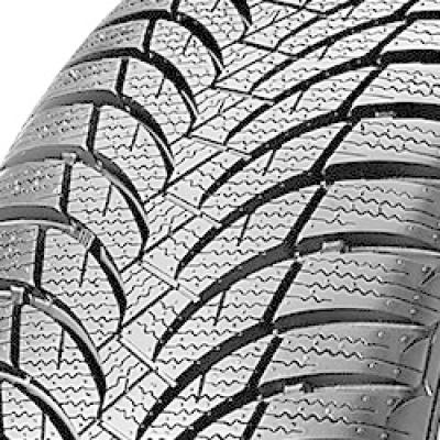 Nexen Winguard SnowG WH2 205/60 R15