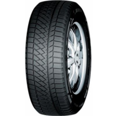 Haida Winter HD687